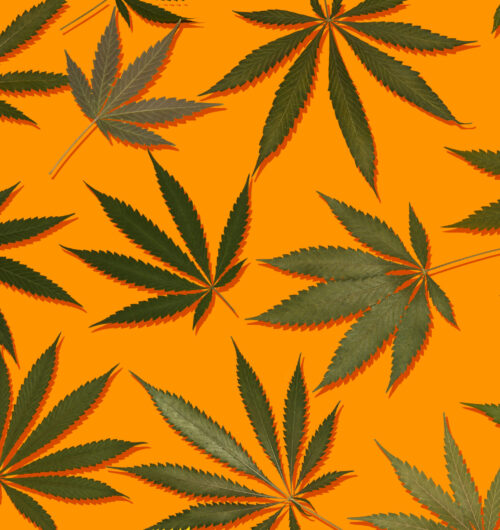 CBD Oil Canada | best cbd oil in canada | cbd oil for anxiety canada | buy cbd oil canada