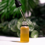 CBD Oil Canada