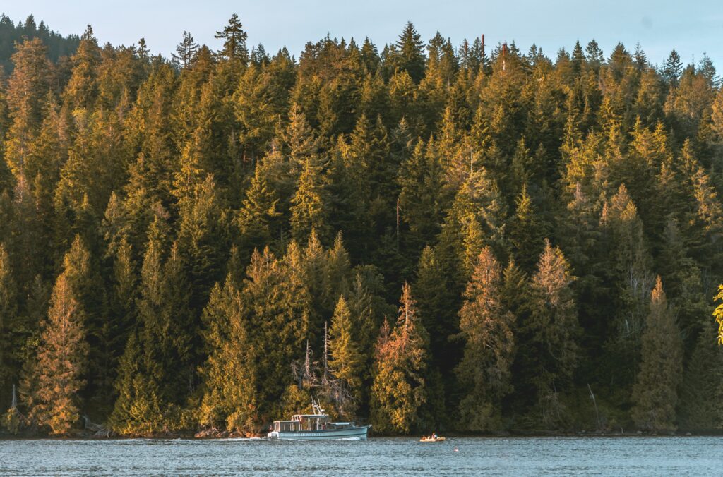 Vancouver Island's lush forest and serene waters, representing CBD oil in Vancouver